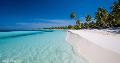 Entdecke die Verlockung exklusiver Luxusstrände weltweit Strand Malediven Indischer Ozean